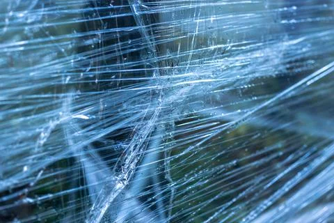 Plastic wrap on trees in the forest Stock Photos