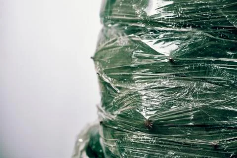 Plastic wrapped Christmas tree Stock Photos