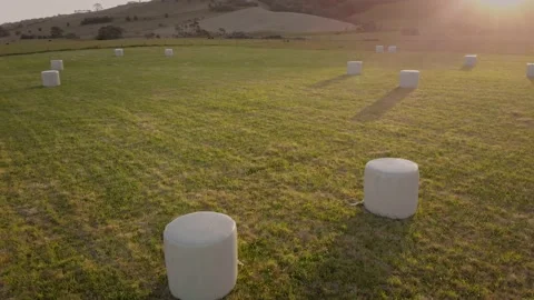 Plastic wrapped hay bales prepared for haulage, Auckland, New Zealand 動画素材 146051705