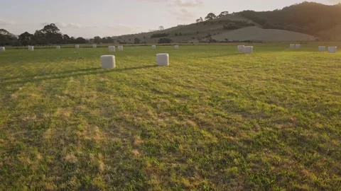 Plastic wrapped hay bales prepared for haulage, Auckland, New Zealand Video stock 146052153
