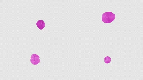 Plasticine Animated Typeface Motion Graphics Stock Footage 289164985