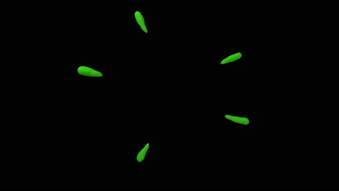 Plasticine effects FX 4 elements Video stock 125622748