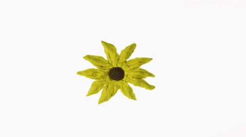 Plasticine flowers in clay animation Stock Footage