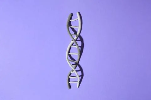 Plasticine model of DNA molecular chain on violet background, top view Stockfoto's