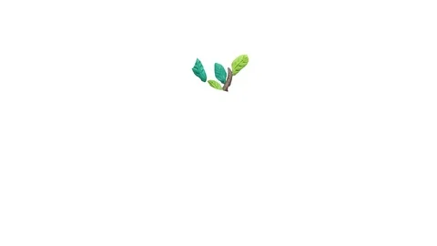 Plasticine tree video animated logo Stock Footage 71847373