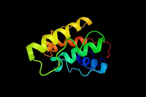 Plastin-2, a protein found in many types of malignant human cells of non-he.. Stock Illustration