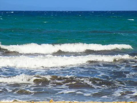 PLATAMONA Stock Photos