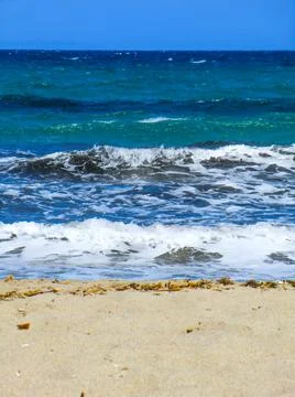 PLATAMONA Stock Photos