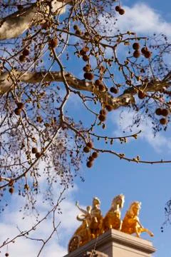 Platanus tree and Quadriga of Aurora Stock Photos