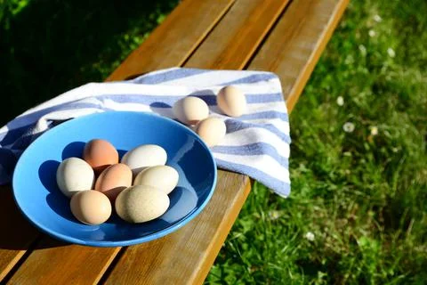Plate and napkin with assorted eggs on wooden table outdoors Stock Photos