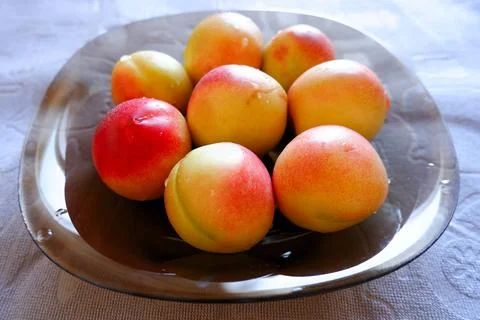 Plate with apricots on the dining table Stock Photos