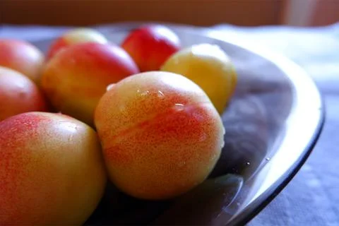 Plate with apricots on the dining table Stock Photos