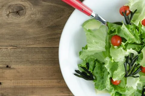 Plate with assorted vegetable salad on white plate on wooden background. Stock Photos