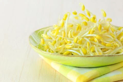 Plate with bean sprouts. Stock Photos
