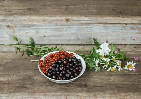A plate with black and red currants next to a delicate bouquet of meadow flowers Stock Photos