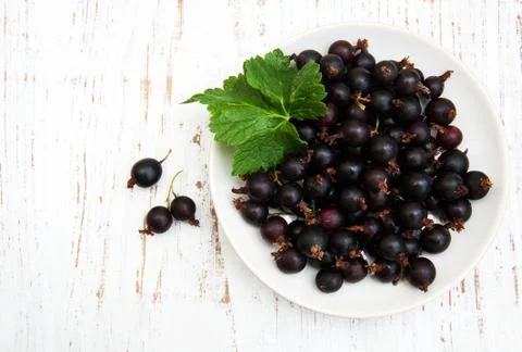 Plate with black currant Stock Photos