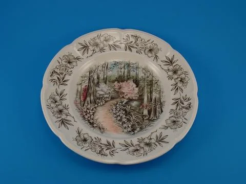 Plate on blue background Stock Photos