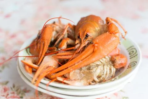 Plate with boiled crawfish Stock Photos