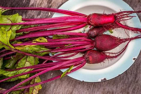Plate with bundle of beets Stock Photos