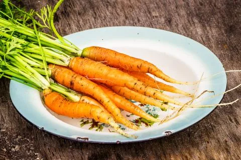 Plate with bundle of carrots Stock Photos