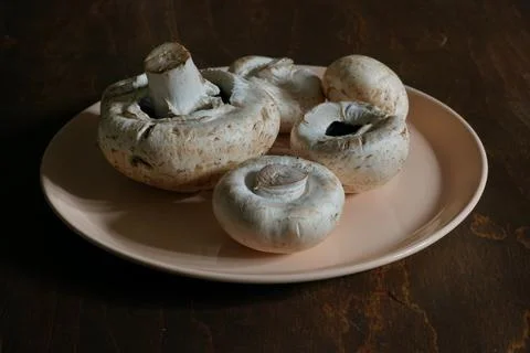 Plate with champignons Stock Photos
