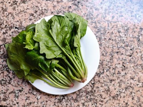 Plate of chards on top of a marble surface Stock Photos