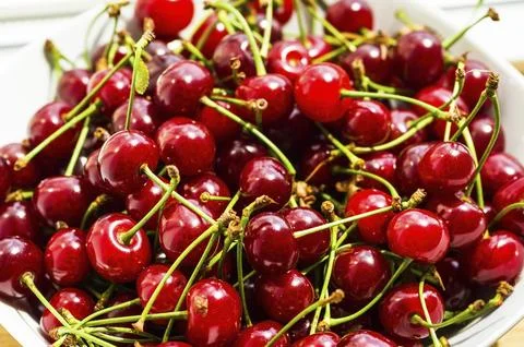 Plate. cherries Stock Photos