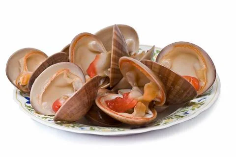 Plate of clams. Stock Photos