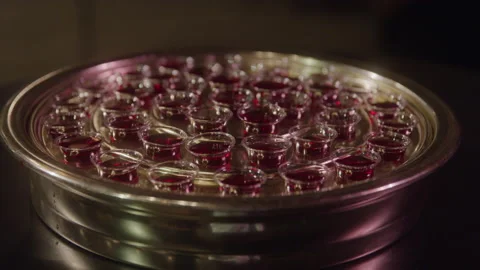 Plate of Communion Wine Stockbeeldmateriaal 208802062