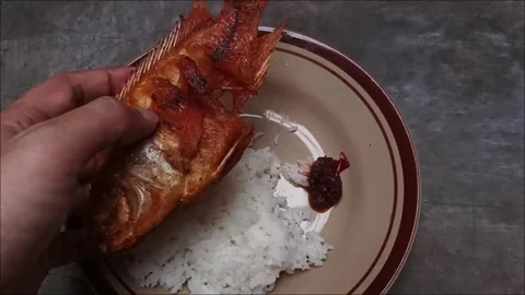 Plate containing fried tilapia fish with white rice Video stock 326735553