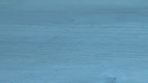 Plate with cookies Stock-Footage 80797559