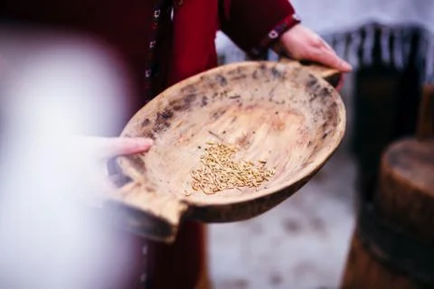 Plate with corn Foto stock