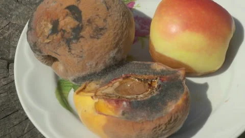 A Plate Displaying Both Rotten and Fresh Fruits, Highlighting Their Contrasting Stockbeeldmateriaal 282723443