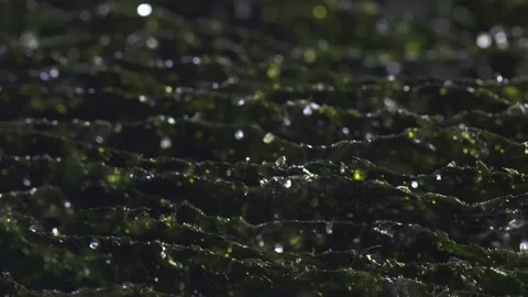 A plate of dried seaweed Stock Footage 142805278