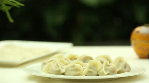 A plate of dumplings on the table (1) Stock Footage 202158691