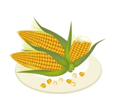 A Plate of Fresh Corn and Kernel Corn Stockillustratie