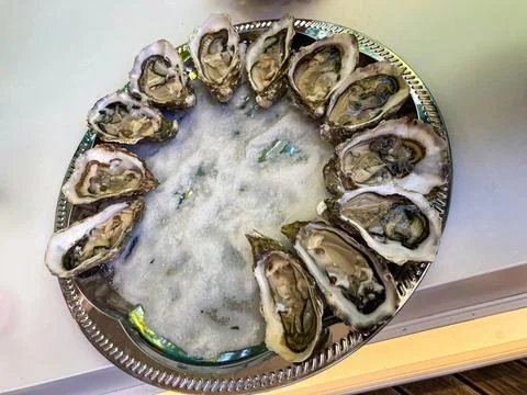 Plate of fresh oysters in a circular pattern on scalloped-edged platter, wh.. Stock Photos
