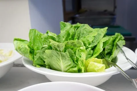 Plate of Fresh Romaine Lettuce - Side View 스톡 사진