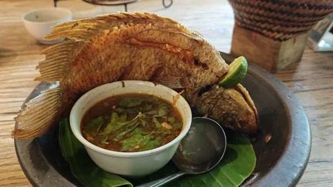 A plate of fried fish 库存影片 328266147