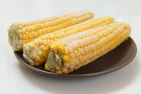 Plate with frozen corn on plate with white background Stock Photos