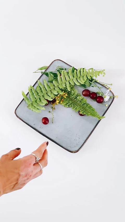 Plate, fruit, plants, white table, studio shot, elegant, decoration, Stock Footage 278490506