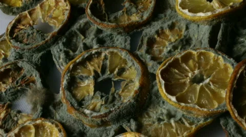 A plate full of lemons 4 Stock Footage 760325