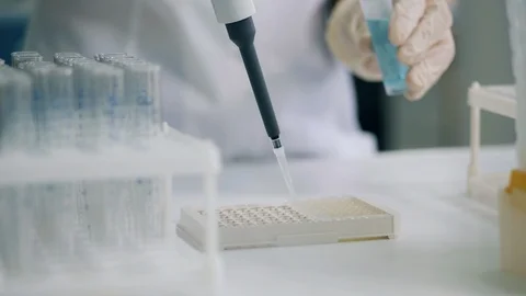 Plate is getting filled with chemical samples. Coronavirus epidemia, virus Stock Footage 123604408