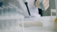 Plate Is Getting Filled With Chemical Samples. Coronavirus Epidemia, Virus Stock Footage