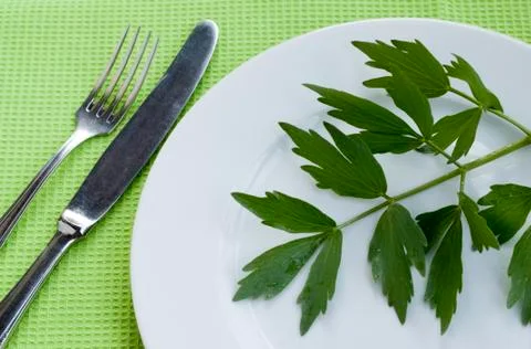 Plate with herb Stock Photos