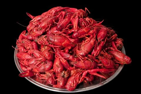Plate with many crawfish Stock Photos