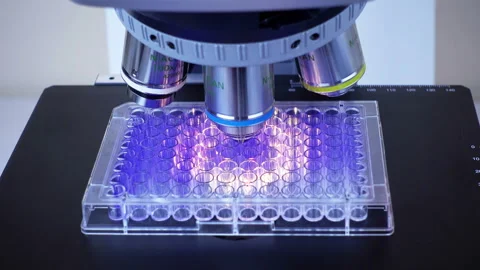 Plate micro Stock Footage 94692446