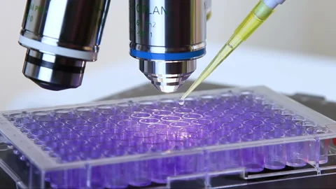 Plate microscop pipette Stock Footage 101821844
