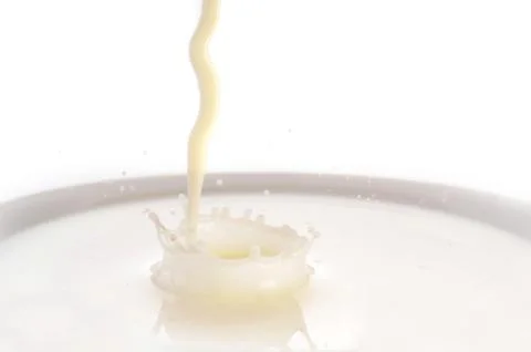 Plate with milk Stock Photos