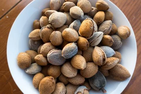 Plate of nutshells Stock Photos